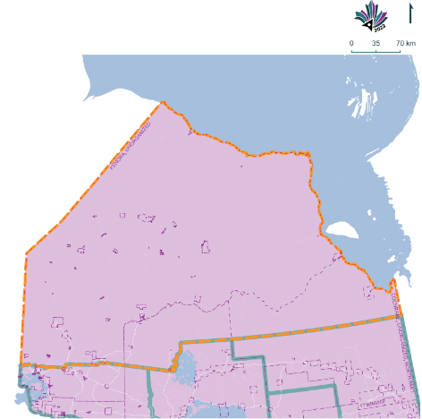 Public Submissions / Electoral Boundary Commission Proposal (Green lines), Public Submission (Yellow lines)